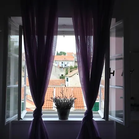 Apartment Liatris Split