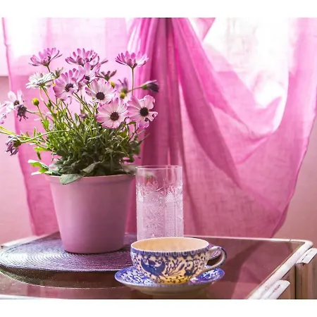 Liatris Апартаменти *